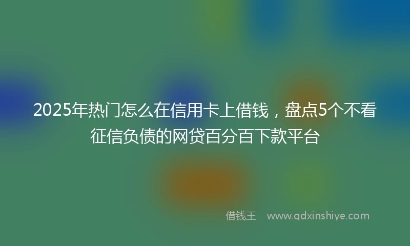 2025年热门怎么在信用卡上借钱，盘点5个不看征信负债的网贷百分百下款平台