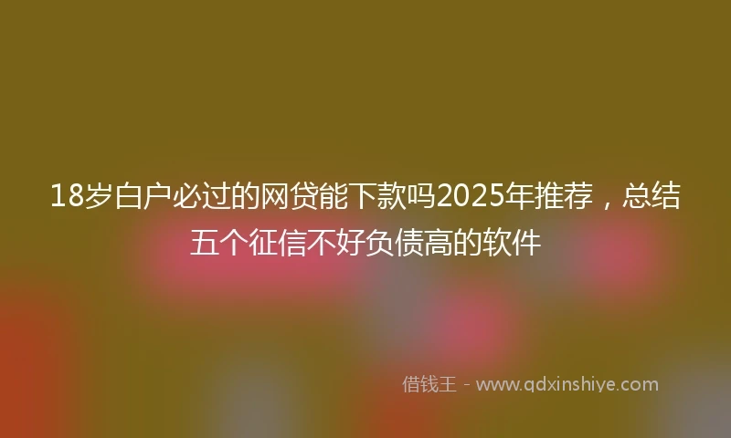 18岁白户必过的网贷能下款吗2025年推荐，总结五个征信不好负债高的软件