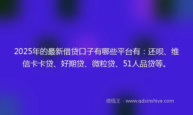2025年的最新借贷口子有哪些平台有：还呗、维信卡卡贷、好期贷、微粒贷、51人品贷等。