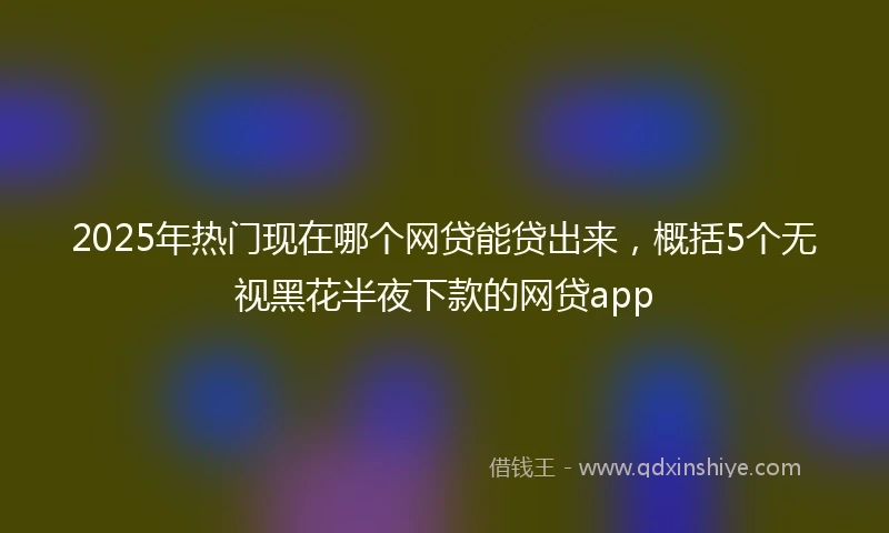 2025年热门现在哪个网贷能贷出来，概括5个无视黑花半夜下款的网贷app