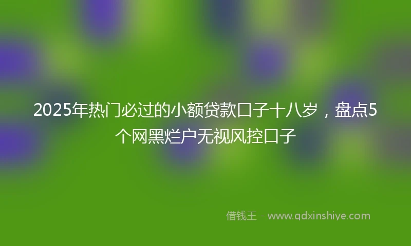 2025年热门必过的小额贷款口子十八岁，盘点5个网黑烂户无视风控口子