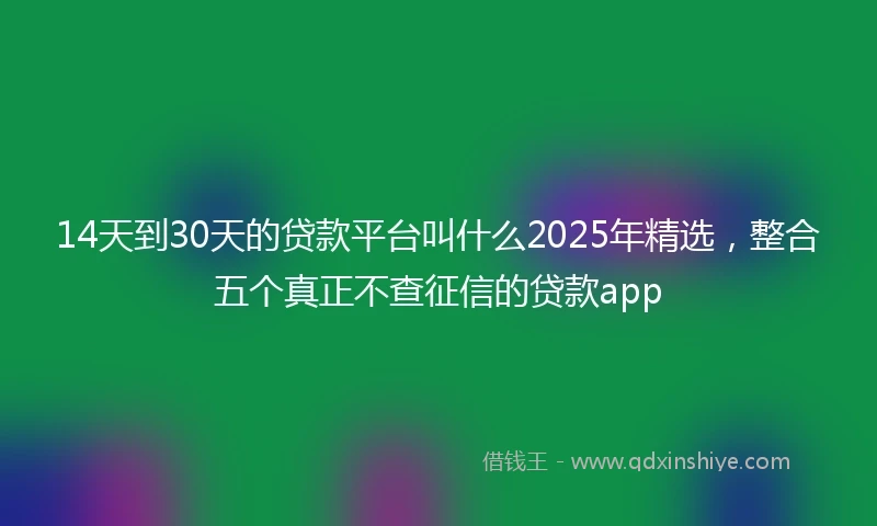 14天到30天的贷款平台叫什么2025年精选，整合五个真正不查征信的贷款app