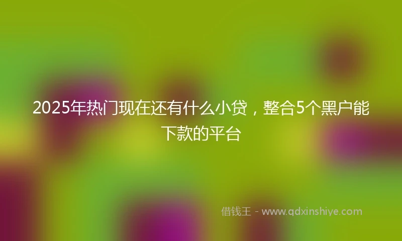 2025年热门现在还有什么小贷，整合5个黑户能下款的平台