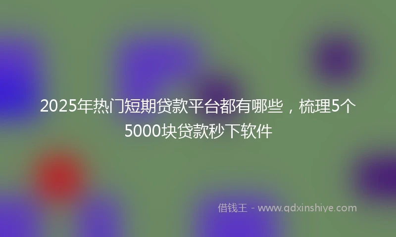 2025年热门短期贷款平台都有哪些，梳理5个5000块贷款秒下软件