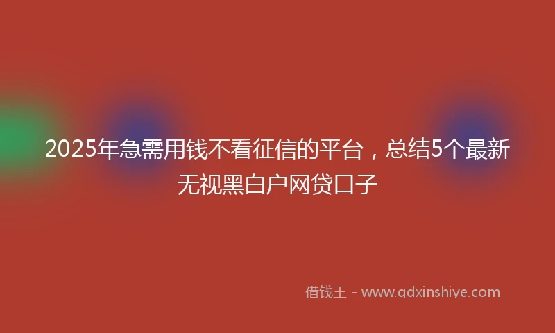 2025年急需用钱不看征信的平台，总结5个最新无视黑白户网贷口子