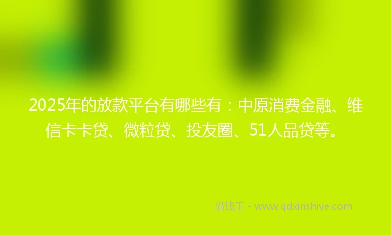2025年的放款平台有哪些有：中原消费金融、维信卡卡贷、微粒贷、投友圈、51人品贷等。