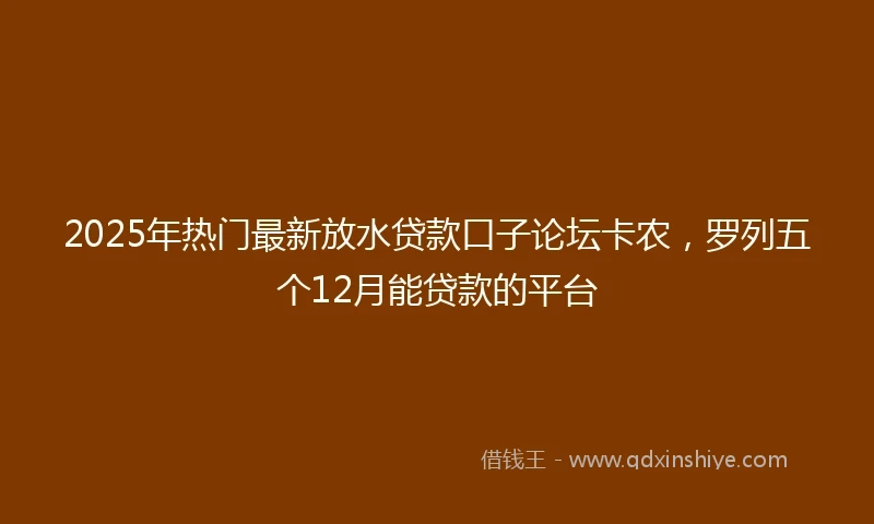 2025年热门最新放水贷款口子论坛卡农，罗列五个12月能贷款的平台