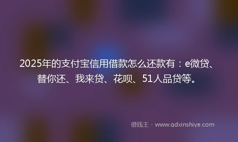 2025年的支付宝信用借款怎么还款有：e微贷、替你还、我来贷、花呗、51人品贷等。
