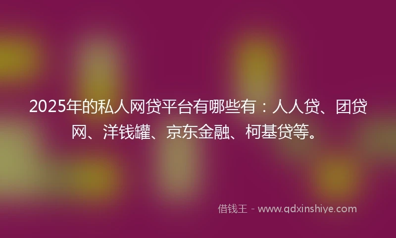 2025年的私人网贷平台有哪些有：人人贷、团贷网、洋钱罐、京东金融、柯基贷等。