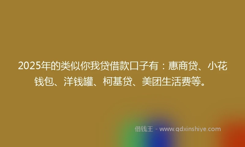 2025年的类似你我贷借款口子有：惠商贷、小花钱包、洋钱罐、柯基贷、美团生活费等。