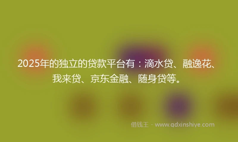 2025年的独立的贷款平台有：滴水贷、融逸花、我来贷、京东金融、随身贷等。