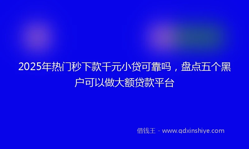 2025年热门秒下款千元小贷可靠吗,盘点五个黑户可以做大额贷款平台