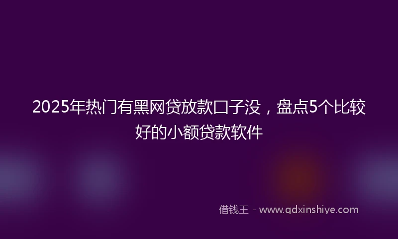 2025年热门有黑网贷放款囗子没，盘点5个比较好的小额贷款软件
