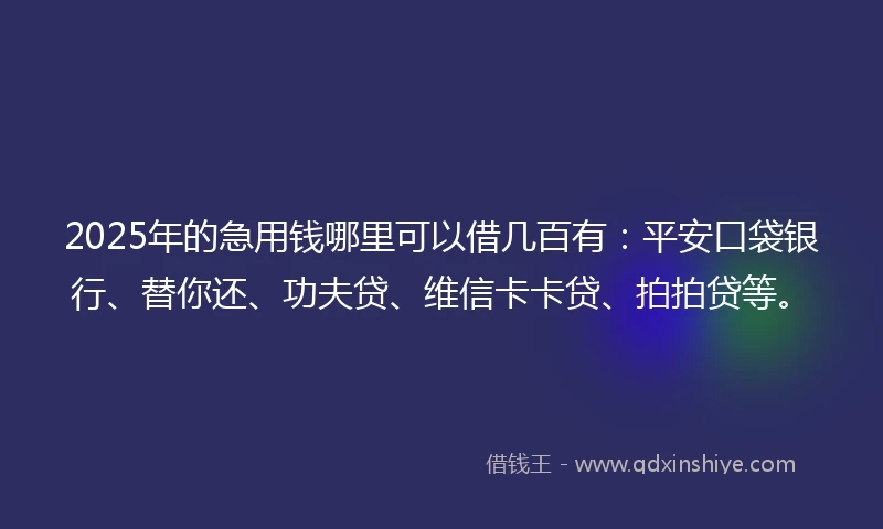 2025年的急用钱哪里可以借几百有：平安口袋银行、替你还、功夫贷、维信卡卡贷、拍拍贷等。