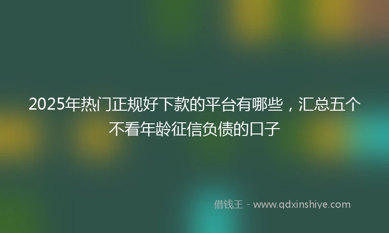 2025年热门正规好下款的平台有哪些，汇总五个不看年龄征信负债的口子
