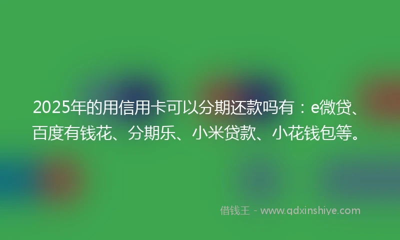 2025年的用信用卡可以分期还款吗有：e微贷、百度有钱花、分期乐、小米贷款、小花钱包等。