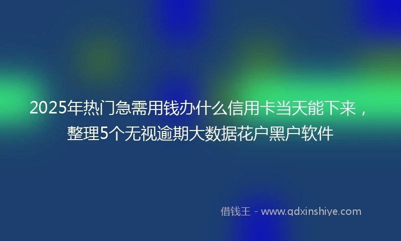 2025年热门急需用钱办什么信用卡当天能下来，整理5个无视逾期大数据花户黑户软件