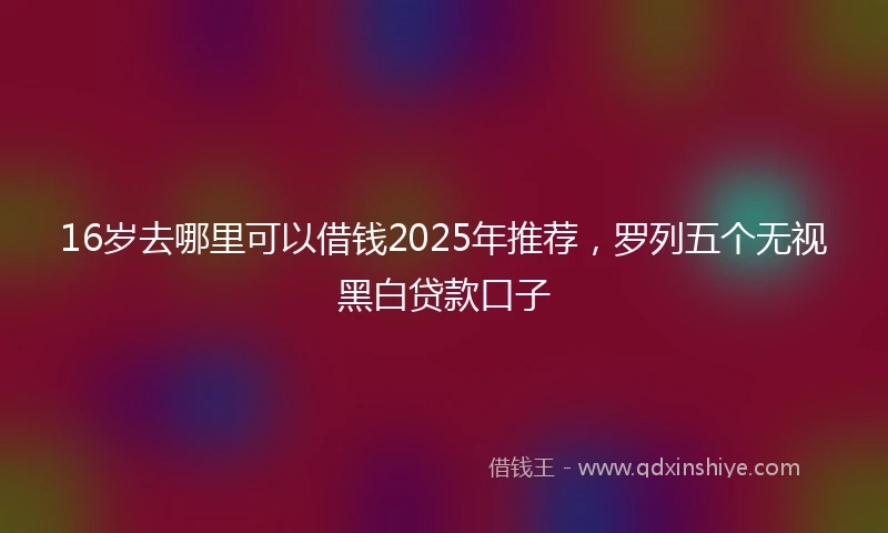 16岁去哪里可以借钱2025年推荐，罗列五个无视黑白贷款口子