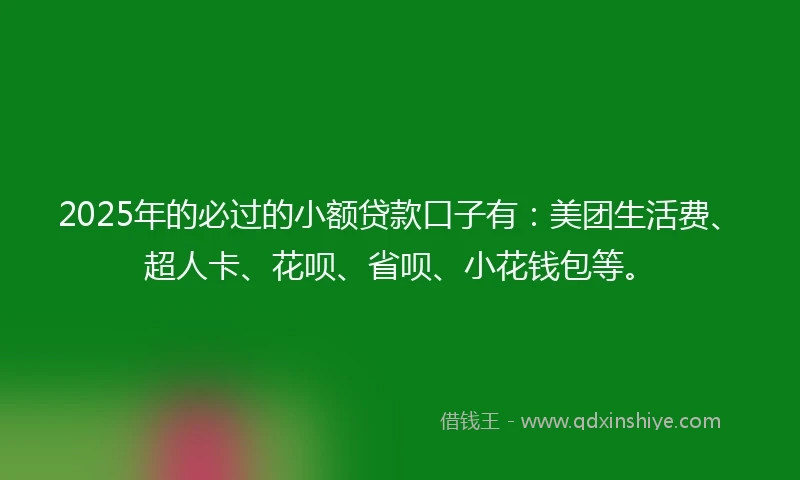 2025年的必过的小额贷款口子有：美团生活费、超人卡、花呗、省呗、小花钱包等。