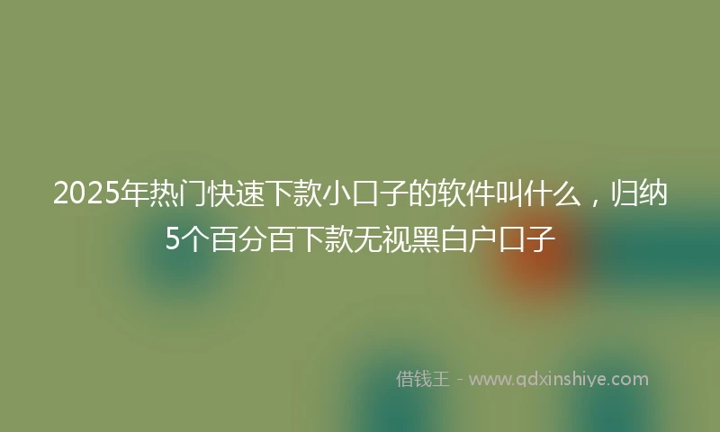 2025年热门快速下款小口子的软件叫什么，归纳5个百分百下款无视黑白户口子