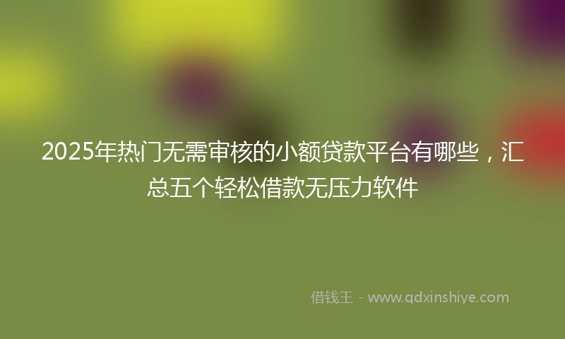 2025年热门无需审核的小额贷款平台有哪些，汇总五个轻松借款无压力软件