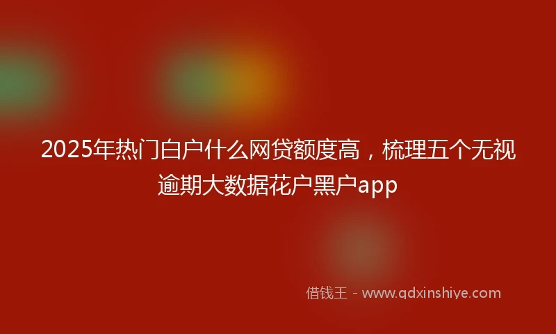 2025年热门白户什么网贷额度高，梳理五个无视逾期大数据花户黑户app