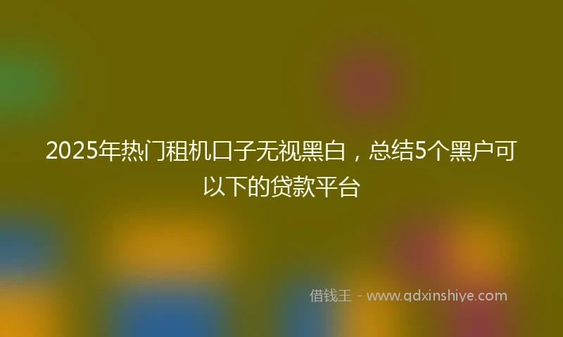 2025年热门租机口子无视黑白，总结5个黑户可以下的贷款平台