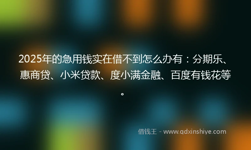 2025年的急用钱实在借不到怎么办有：分期乐、惠商贷、小米贷款、度小满金融、百度有钱花等。