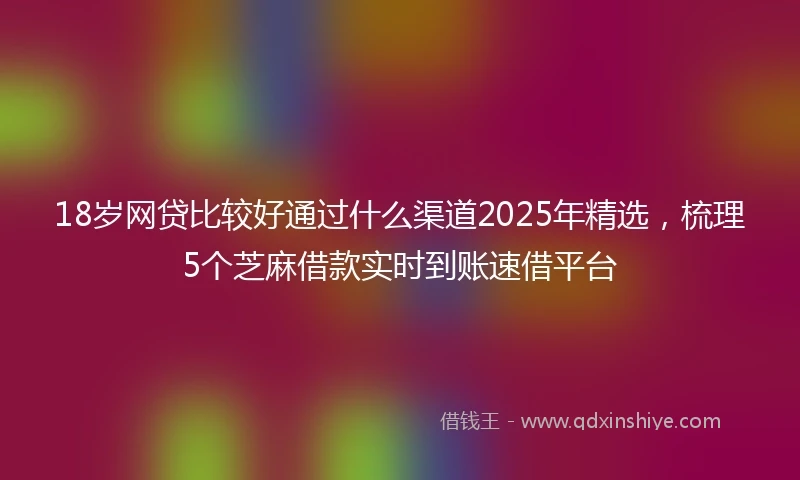 18岁网贷比较好通过什么渠道2025年精选，梳理5个芝麻借款实时到账速借平台