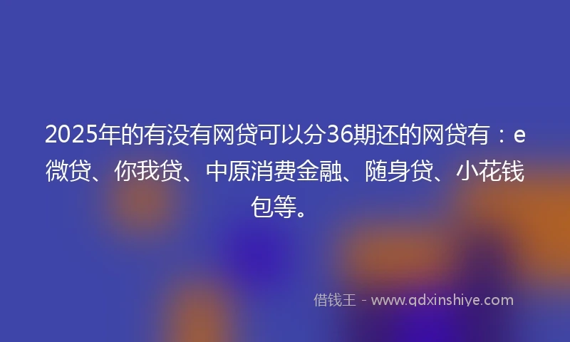 2025年的有没有网贷可以分36期还的网贷有：e微贷、你我贷、中原消费金融、随身贷、小花钱包等。