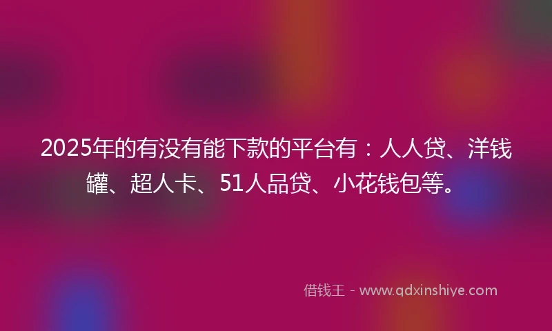 2025年的有没有能下款的平台有：人人贷、洋钱罐、超人卡、51人品贷、小花钱包等。