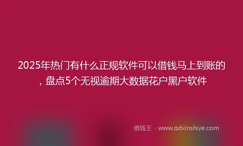 2025年热门有什么正规软件可以借钱马上到账的，盘点5个无视逾期大数据花户黑户软件