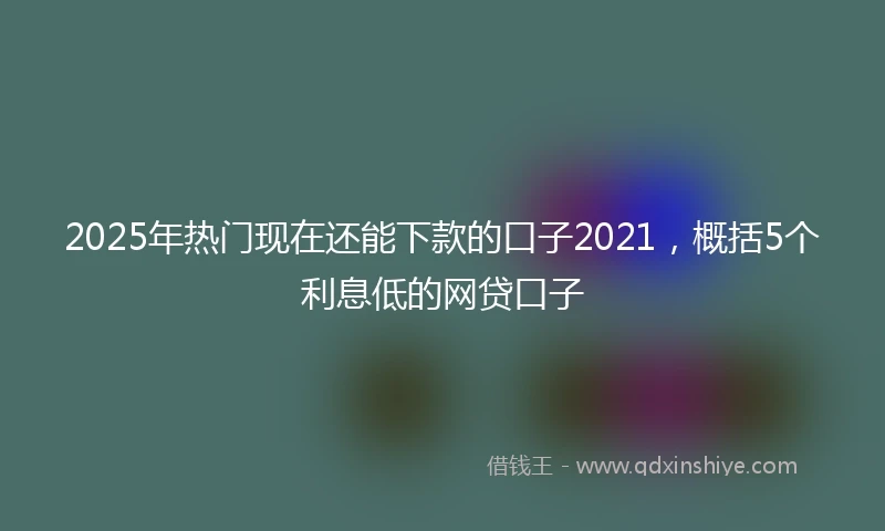 2025年热门现在还能下款的口子2021，概括5个利息低的网贷口子
