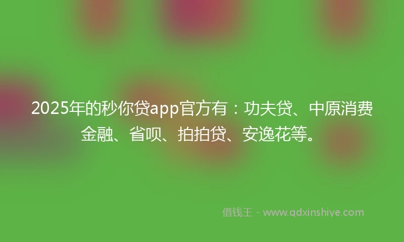 2025年的秒你贷app官方有：功夫贷、中原消费金融、省呗、拍拍贷、安逸花等。