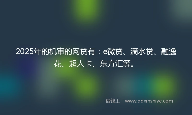 2025年的机审的网贷有：e微贷、滴水贷、融逸花、超人卡、东方汇等。