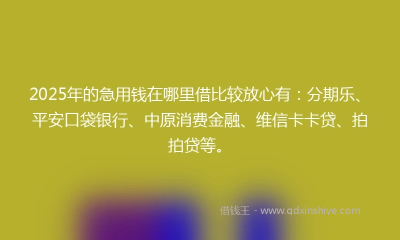 2025年的急用钱在哪里借比较放心有：分期乐、平安口袋银行、中原消费金融、维信卡卡贷、拍拍贷等。
