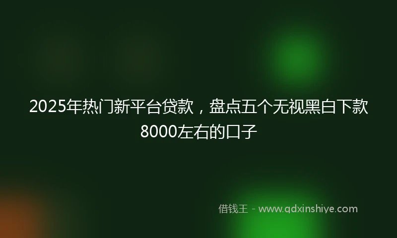2025年热门新平台贷款，盘点五个无视黑白下款8000左右的口子