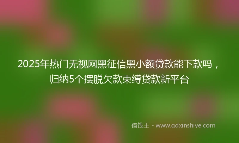 2025年热门无视网黑征信黑小额贷款能下款吗，归纳5个摆脱欠款束缚贷款新平台