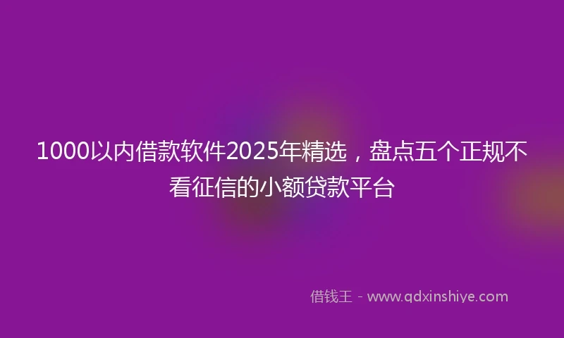 1000以内借款软件2025年精选，盘点五个正规不看征信的小额贷款平台