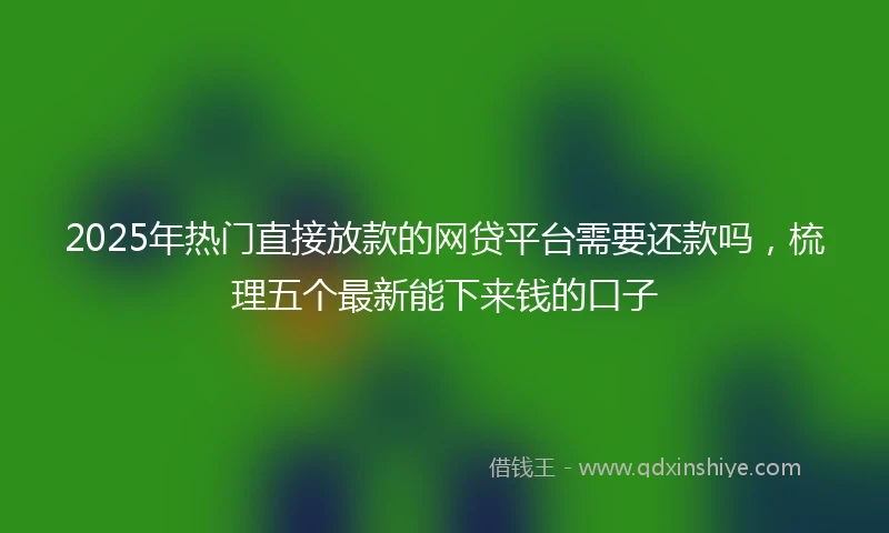 2025年热门直接放款的网贷平台需要还款吗，梳理五个最新能下来钱的口子