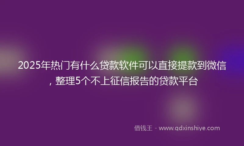 2025年热门有什么贷款软件可以直接提款到微信，整理5个不上征信报告的贷款平台