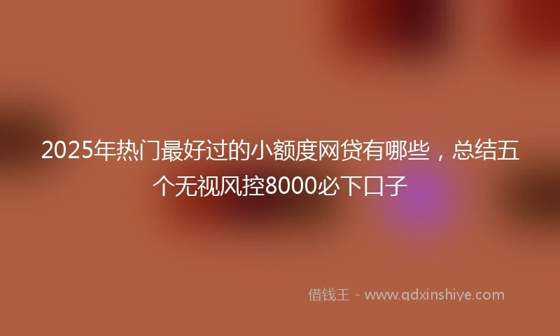 2025年热门最好过的小额度网贷有哪些，总结五个无视风控8000必下口子