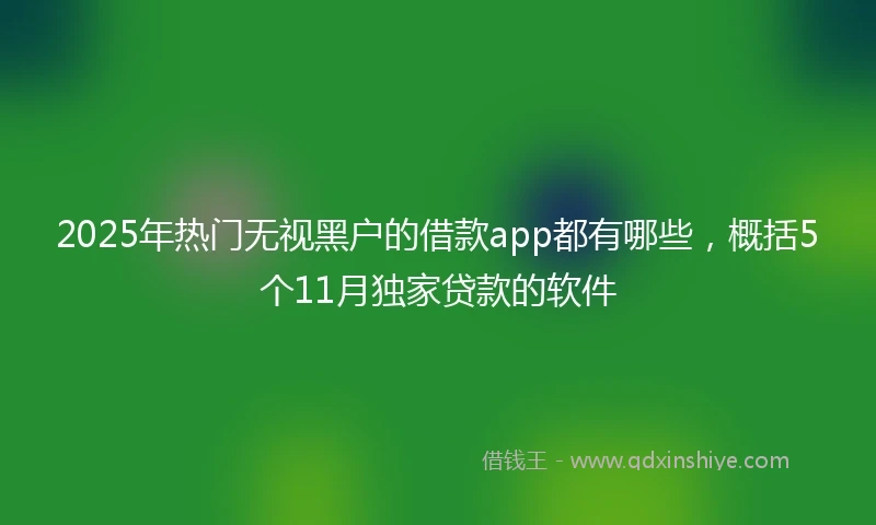 2025年热门无视黑户的借款app都有哪些，概括5个11月独家贷款的软件