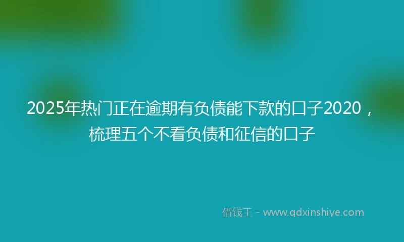 2025年热门正在逾期有负债能下款的口子2020，梳理五个不看负债和征信的口子