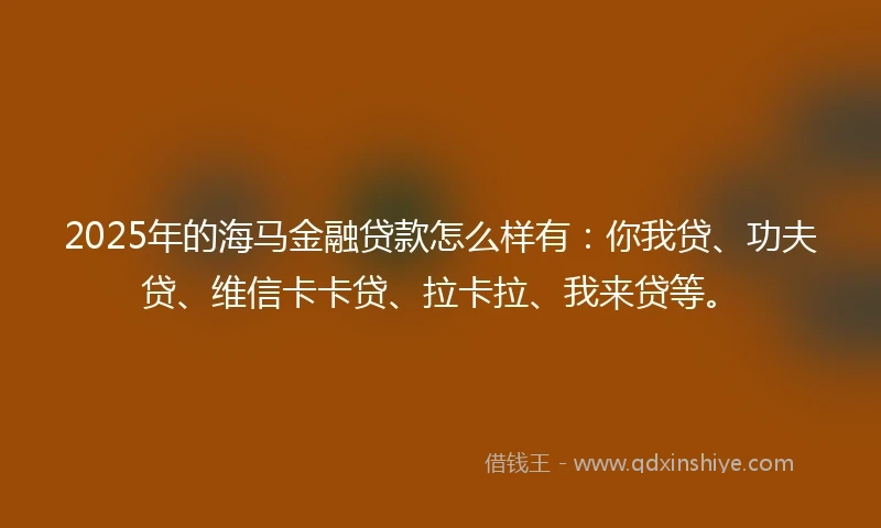 2025年的海马金融贷款怎么样有：你我贷、功夫贷、维信卡卡贷、拉卡拉、我来贷等。