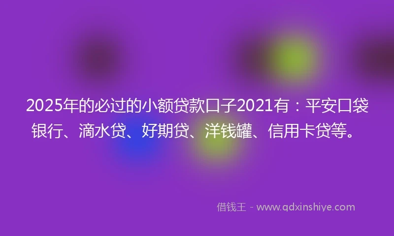 2025年的必过的小额贷款口子2021有：平安口袋银行、滴水贷、好期贷、洋钱罐、信用卡贷等。