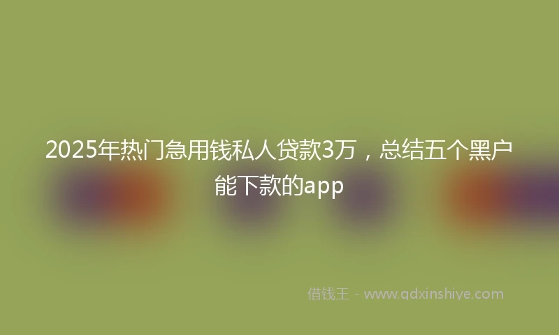 2025年热门急用钱私人贷款3万，总结五个黑户能下款的app