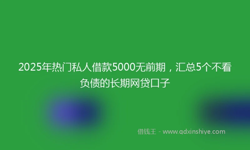 2025年热门私人借款5000无前期，汇总5个不看负债的长期网贷口子