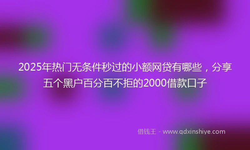 2025年热门无条件秒过的小额网贷有哪些，分享五个黑户百分百不拒的2000借款口子