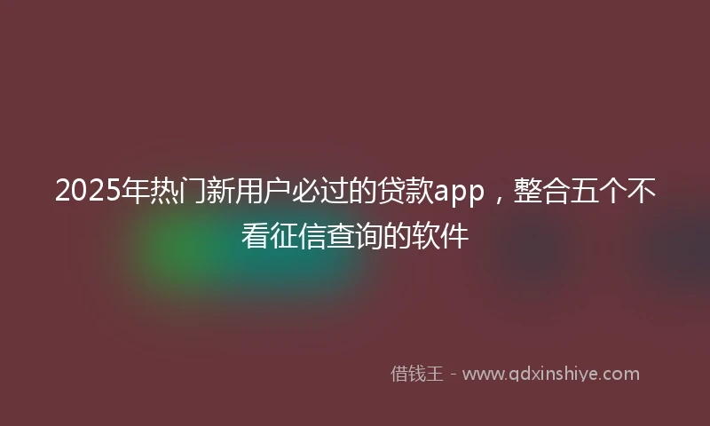 2025年热门新用户必过的贷款app，整合五个不看征信查询的软件